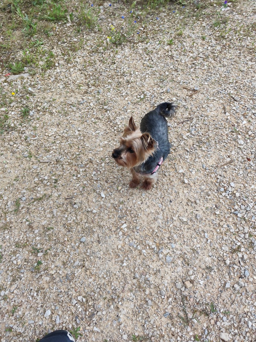 Sea cual sea la decisión que elijas, puede cambiar tu vida para siempre.
Buenas noches 😴