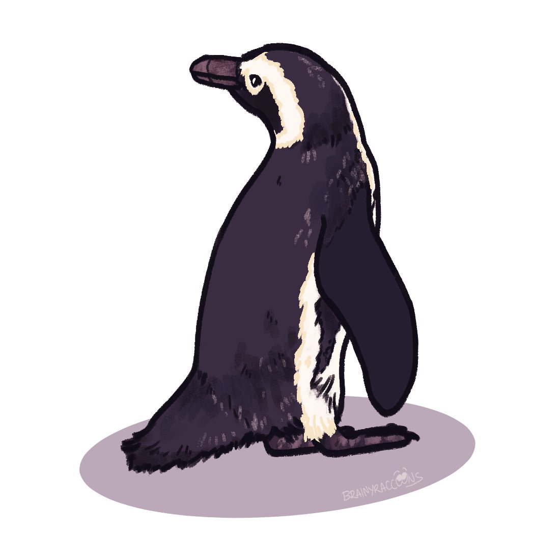 Phil, in his age of sail era (@brainyraccoons) on Twitter photo a little friend for <a href="/thegingerbeck/">jamie fitzjamie ✨</a> 🐧✨
did you know that African penguins are also sometimes called "jackass penguin"? what did they do to the scientists to deserve this name...😂 a little friend for <a href="/thegingerbeck/">jamie fitzjamie ✨</a> 🐧✨
did you know that African penguins are also sometimes called "jackass penguin"? what did they do to the scientists to deserve this name...😂