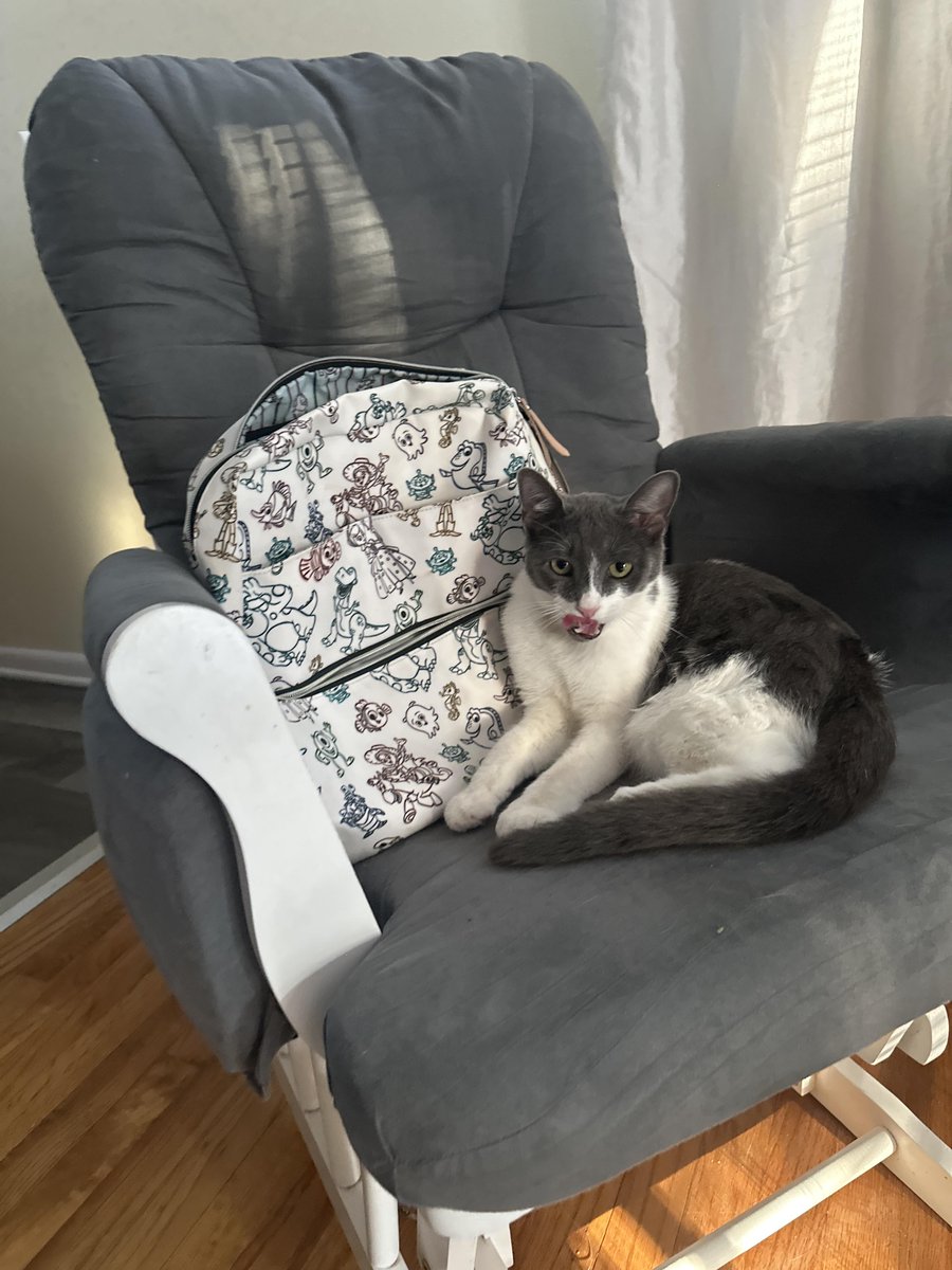 PawBoost tweet media