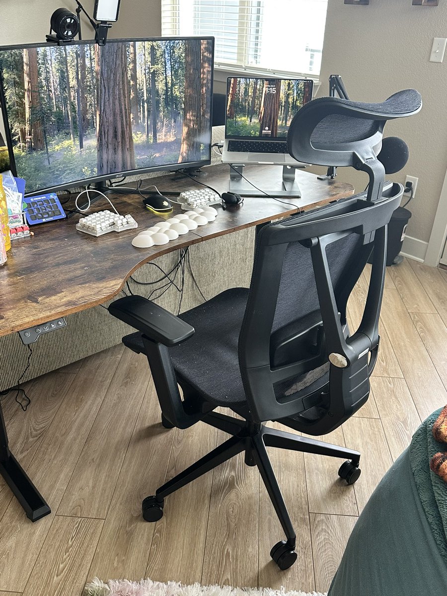 ✨Leah✨ tweet media