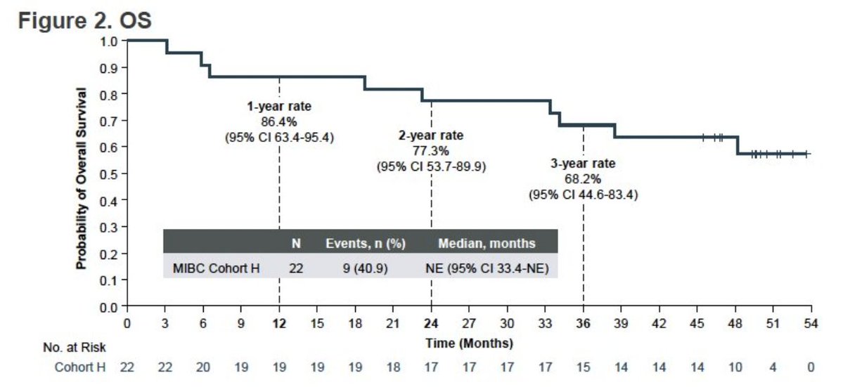 UroToday.com (@urotoday) on Twitter photo EV-103 Cohort H: neoadjuvant treatment with enfortumab vedotin monotherapy in cisplatin-ineligible patients with #MIBC – 3-year efficacy results. Presentation by <a href="/mar_nataliya/">Nataliya Mar</a> <a href="/UCIrvine/">UC Irvine</a>. #ASCO25 written coverage by <a href="/RKSayyid/">Rashid K. Sayyid</a> <a href="/USC/">USC</a> > bit.ly/4n2ANUz <a href="/ASCO/">ASCO</a> EV-103 Cohort H: neoadjuvant treatment with enfortumab vedotin monotherapy in cisplatin-ineligible patients with #MIBC – 3-year efficacy results. Presentation by <a href="/mar_nataliya/">Nataliya Mar</a> <a href="/UCIrvine/">UC Irvine</a>. #ASCO25 written coverage by <a href="/RKSayyid/">Rashid K. Sayyid</a> <a href="/USC/">USC</a> > bit.ly/4n2ANUz <a href="/ASCO/">ASCO</a>