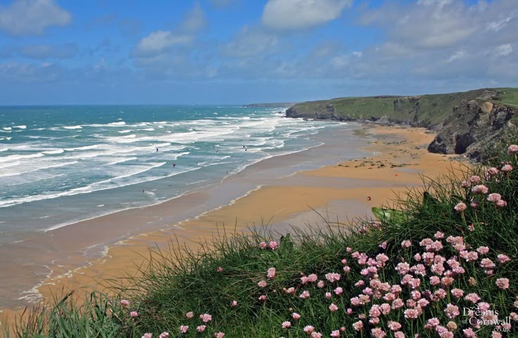 blue dream (@bluedreamvibes) on Twitter photo 