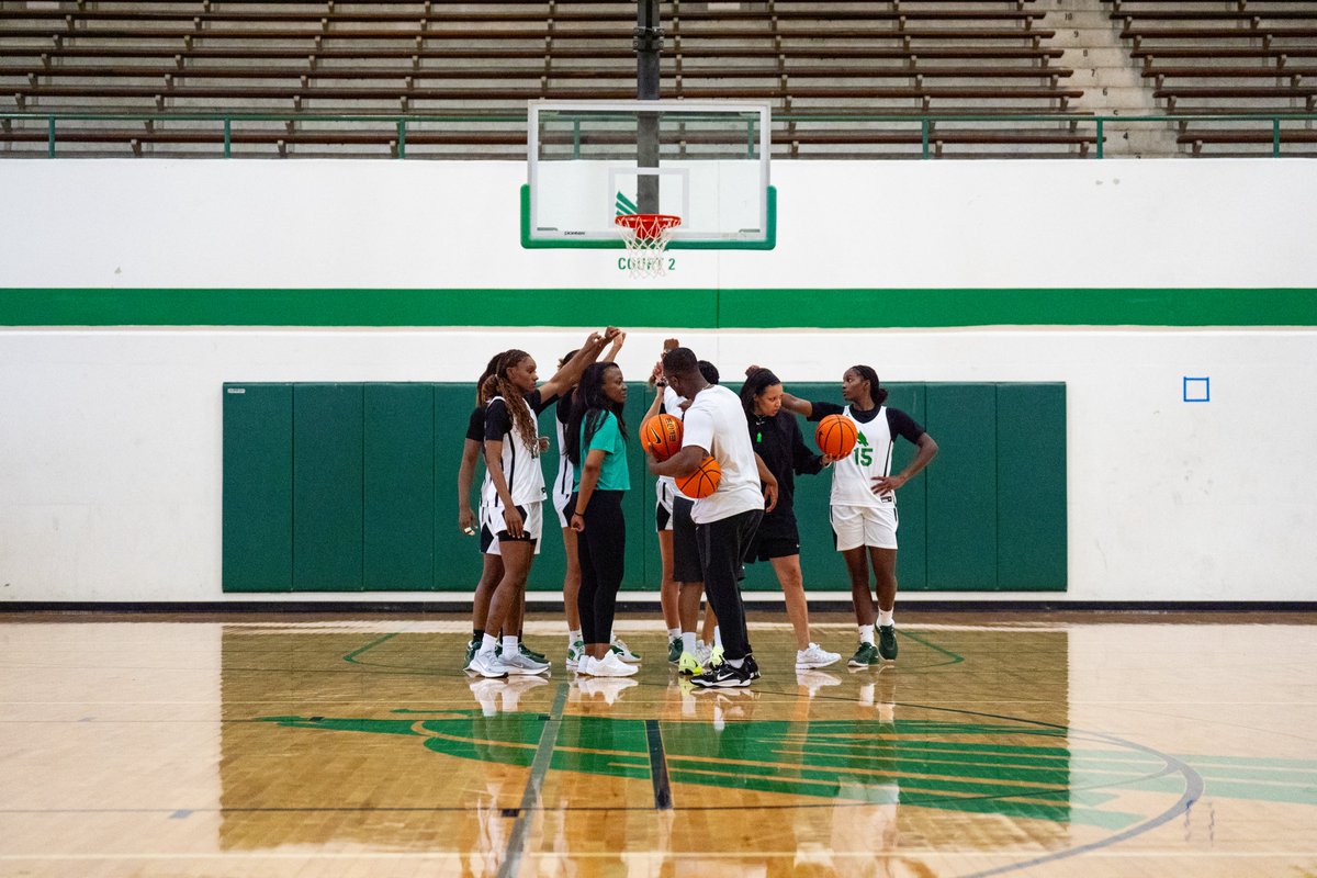 UNT Women's Basketball tweet media