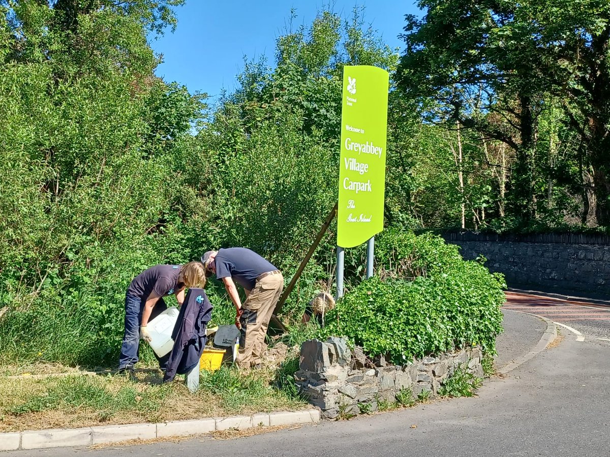 NT Strangford Lough tweet media