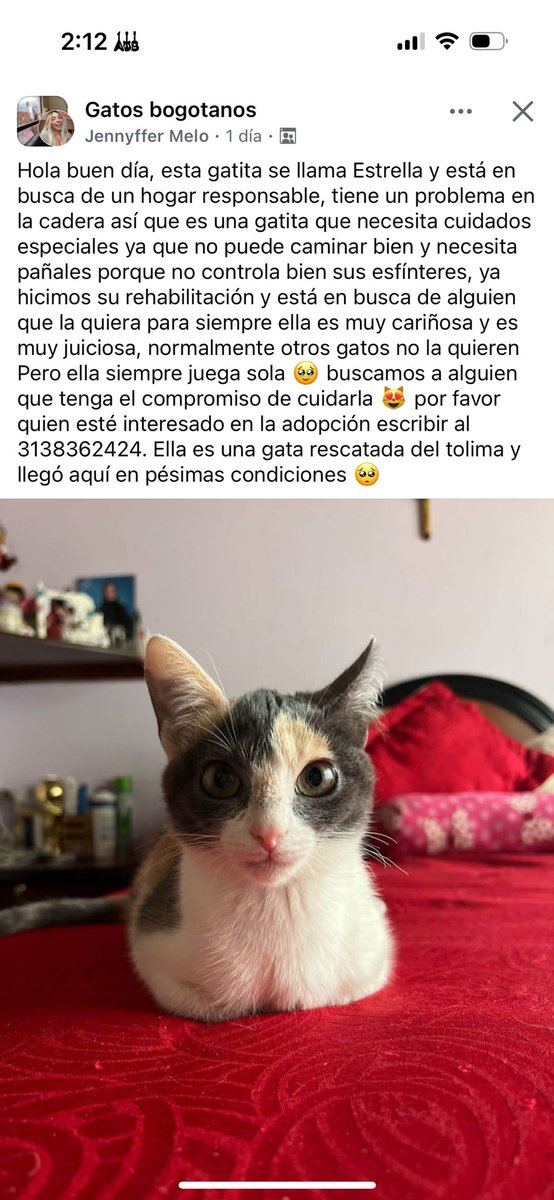 Por si están buscando a alguien para amar toda la vida, aquí les tengo la más hermosa opción: