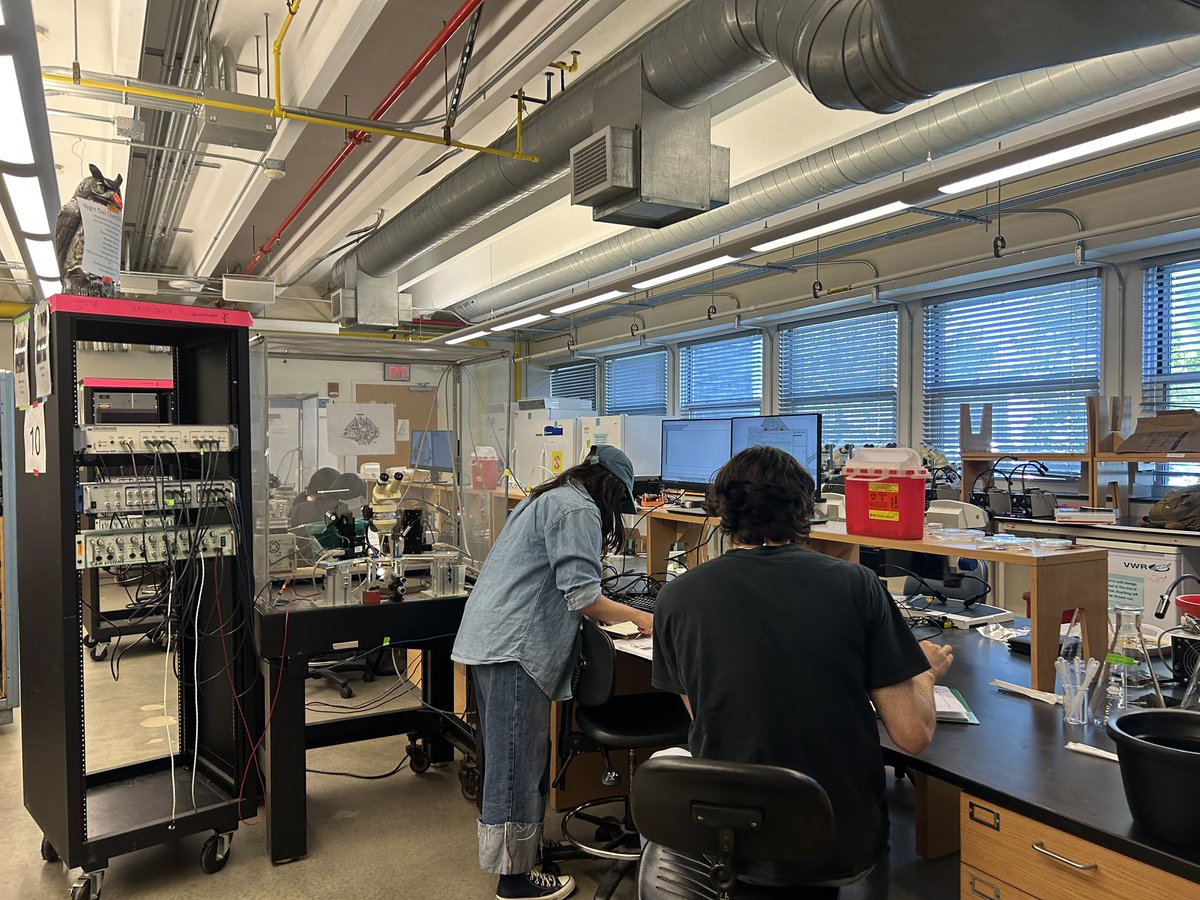 Students started off the day with lecture and learned a mnemonic to remember the states of ion channels. Then, after a break, more hard work in the lab!