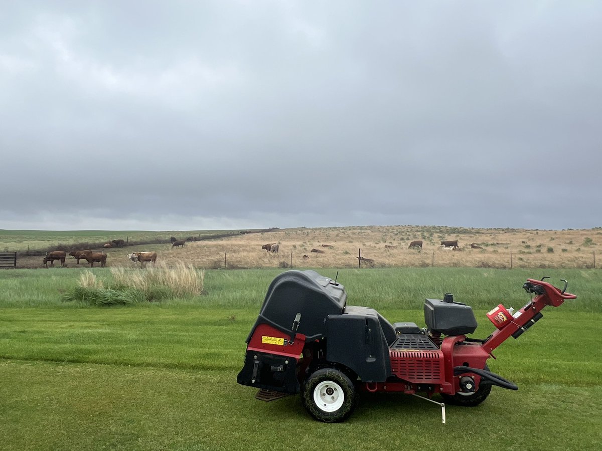 Country views at <a href="/BuffaloDunes/">Buffalo Dunes</a> 

#MuniGolf