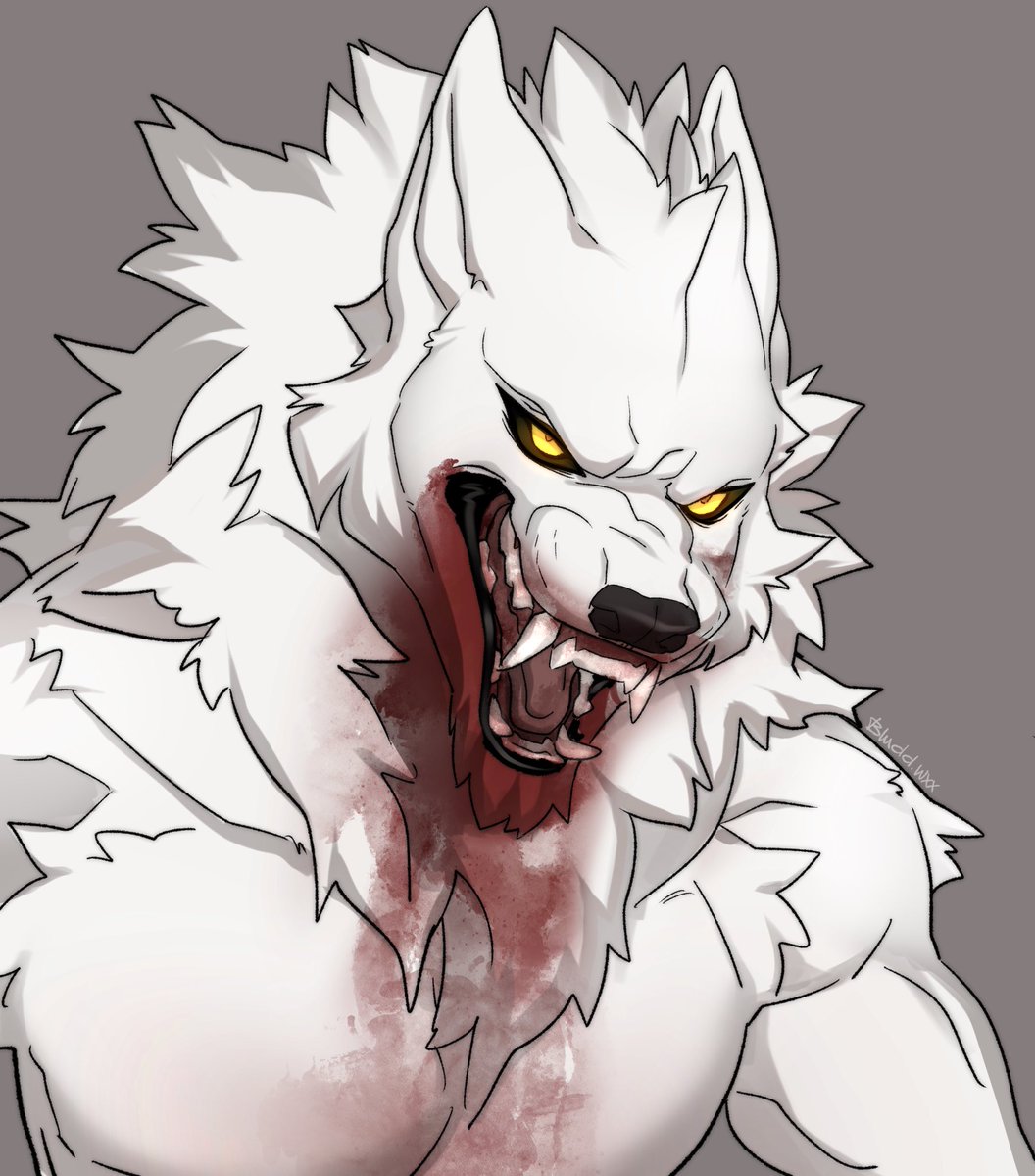 Commission🩸🐺