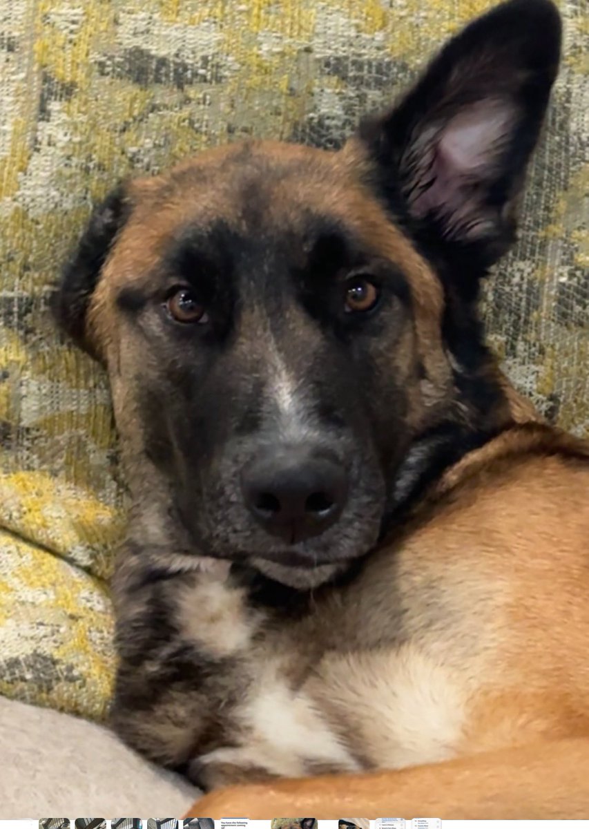 WeenyWaney tweet media