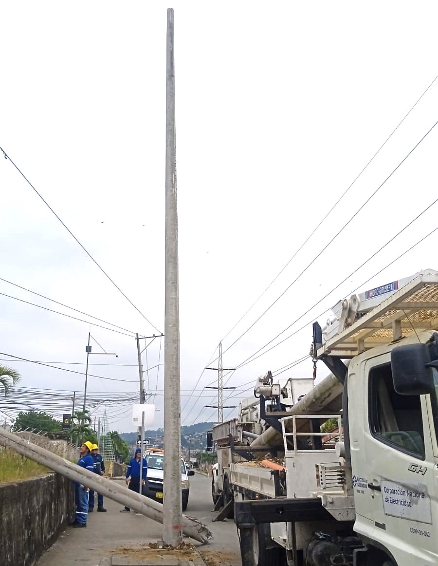 ⚠️ GUAYAQUIL

AHORA | Técnicos de #CNELEP realizan la reposición de tres postes de tendido eléctrico que colapsaron debido a un siniestro de tránsito en la vía a Daule, en el norte de la ciudad. 

Se llevó a cabo una transferencia de carga para no afectar el suministro durante
