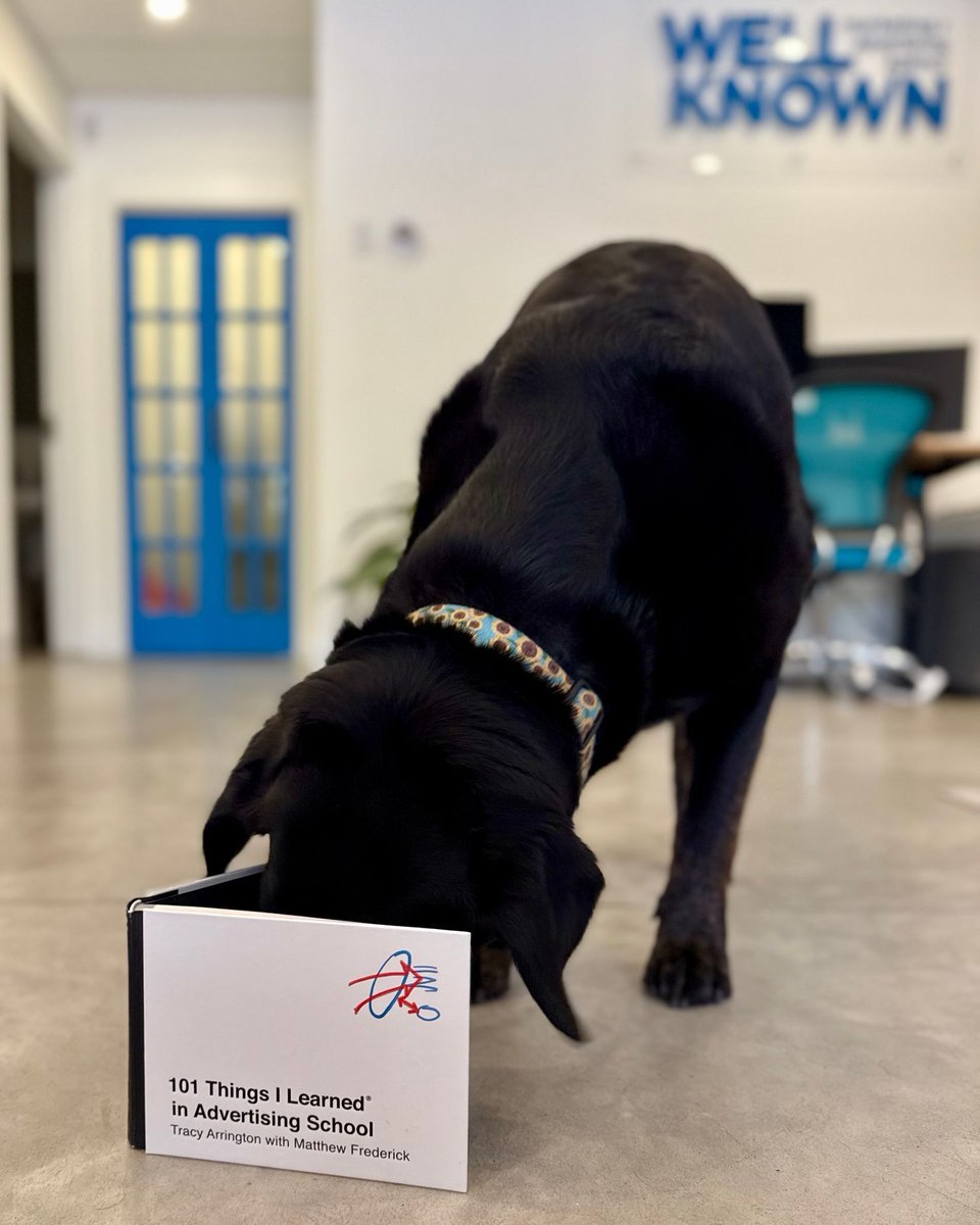This week's read is brought to you by Teslin! 🐾 A little book with a big punch! 🥊

📖  101 Things I learned in Advertising School 
- by Tracy Arrington &amp; Mathew Frederick

.
.
.

#DogDays #BookTok #DogsOfInstagram #MarketingBooks #Advertising #Marketing101