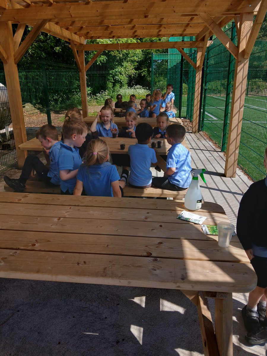 Junior Infants had a wonderful time planting mustard seeds in the outdoor classroom. Just one week later, their little plants had grown enough to take home!