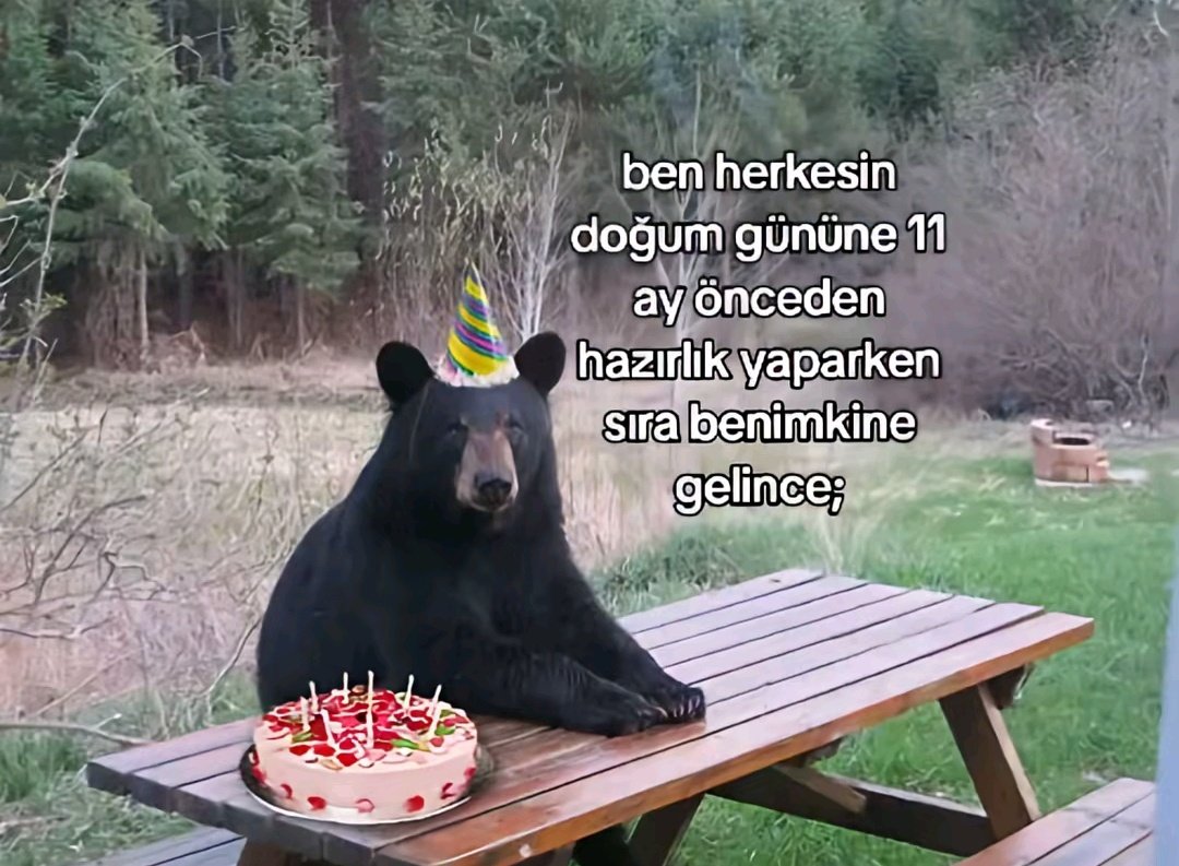 defne (@zatenunuturum) on Twitter photo 