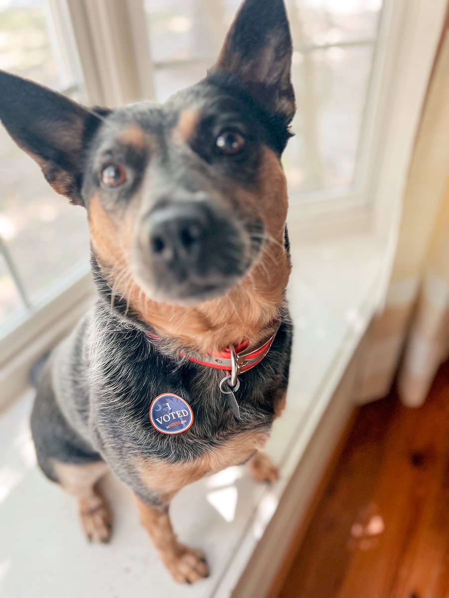 SC House District 50, don’t forget to vote today! Just because today is a special election, doesn’t mean it is any less important to head to the polls. 

*Disclaimer: Treats were definitely offered as a bribe for this post.*