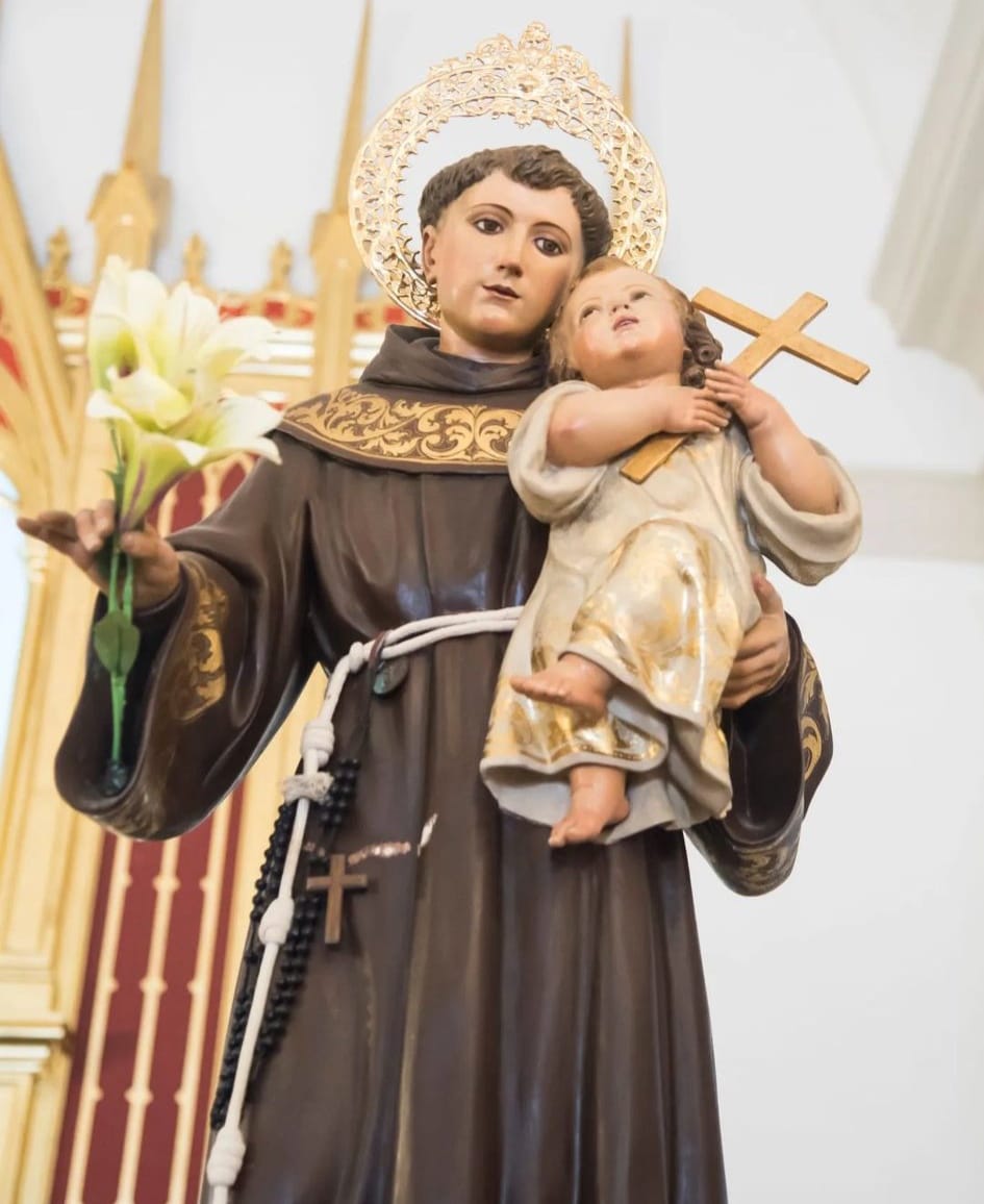 👩🧑🖼🌶🦐💉🎉✝️🎭Estos son algunos de los #actosCulturales y de #ocio de mañana en la #VegaBaja,
📰Miradlos TODOS clicando👉todoculturavegabaja.es
<a href="/Guardamar_Ayto/">Guardamar Ayto</a> <a href="/GuardamarTurism/">Guardamar Turisme</a> <a href="/visitphoradada/">Visit Pilar de la Horadada</a> <a href="/AytoOrihuela/">AytoOrihuela</a> #Guardamar #Orihuela #PilarDeLaHoradada #Rojales #Molins #Torrevieja