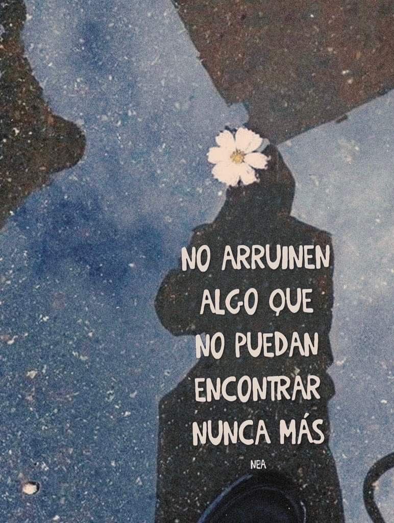 𝗧 𝗲 𝘅 𝘁 𝗼 𝘀 𝗡 𝘂 𝗯 𝗹 𝗮 𝗱 𝗼 𝘀 ☁️ (@textosnublados) on Twitter photo 