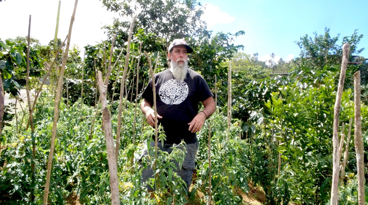Invitan al estreno de Historias de resistencia desde Adjuntas | tinyurl.com/33heehdj

Tras la proyección en Casa Pueblo y el MAC en San Juan se realizarán conversatorios sobre el cine comunitario.