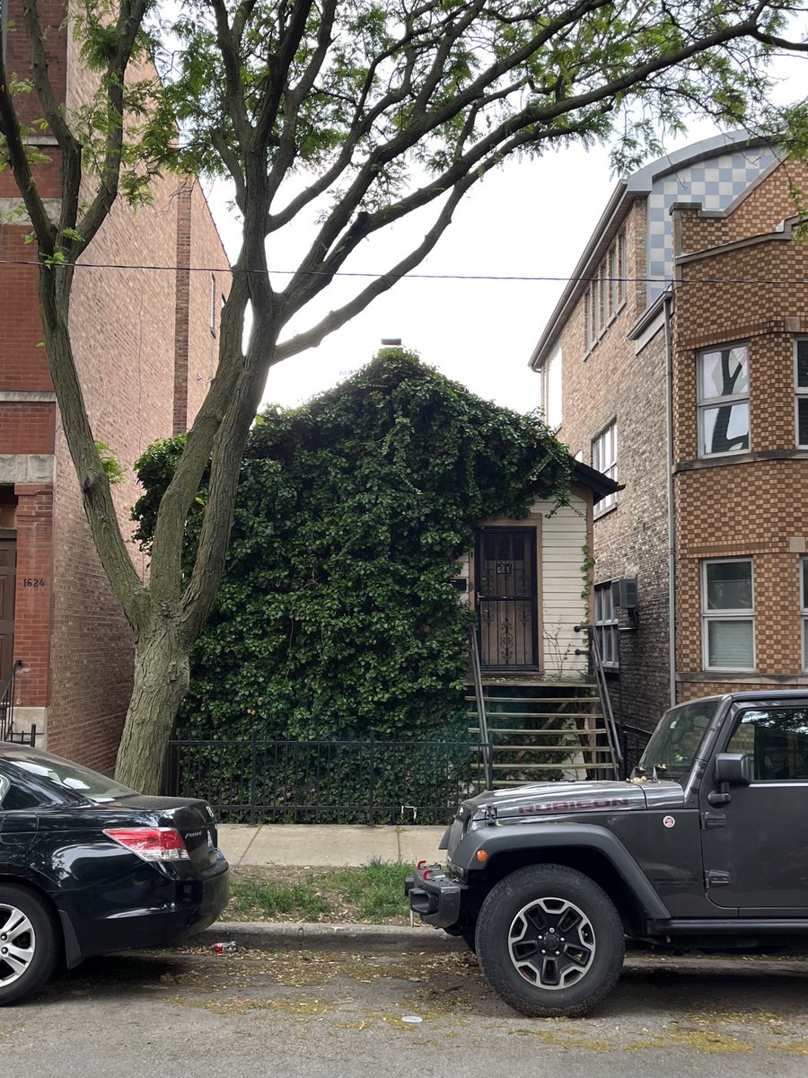 She (the ivy) ate.
