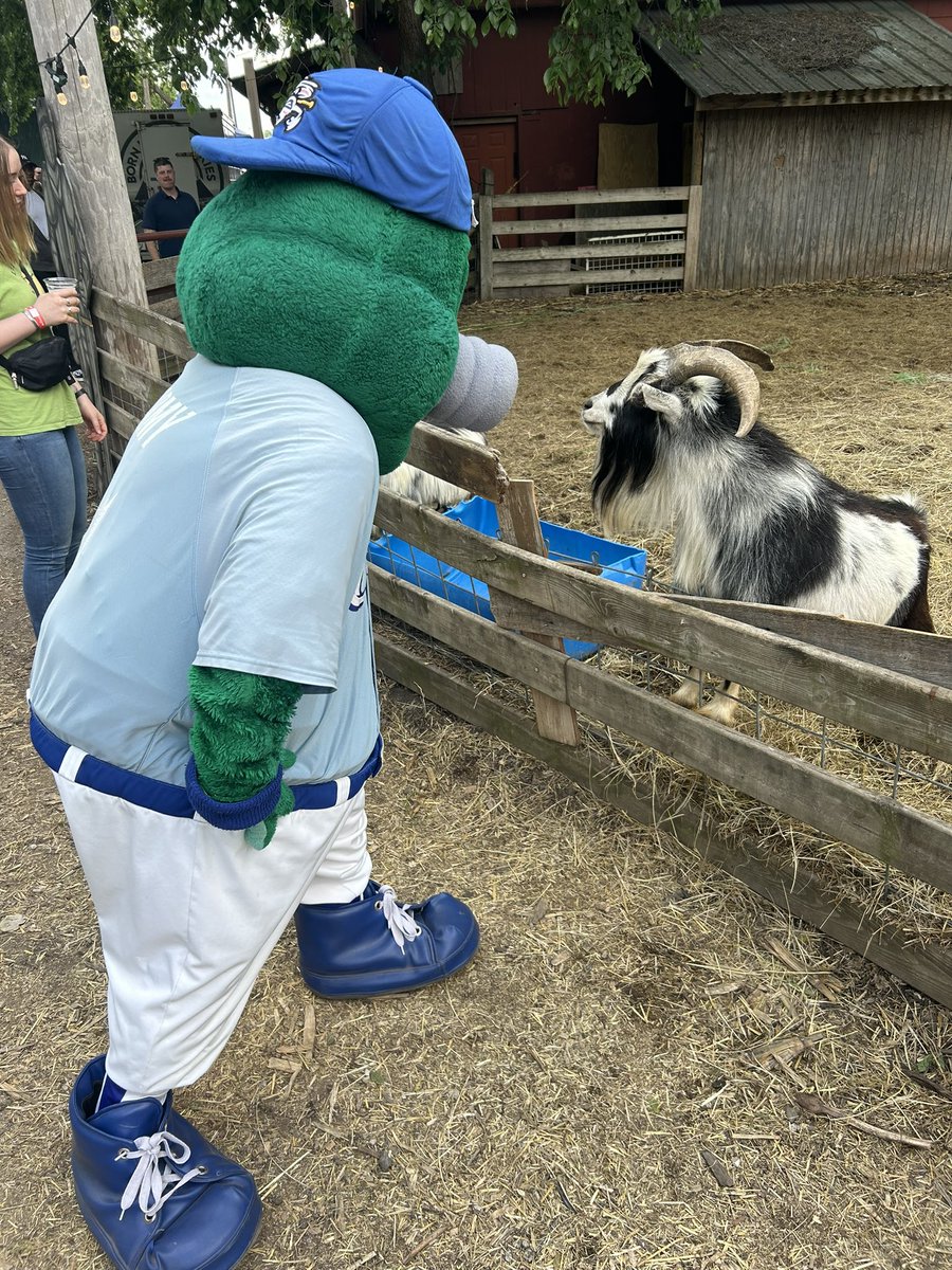 Storm Chasers Mascots tweet media