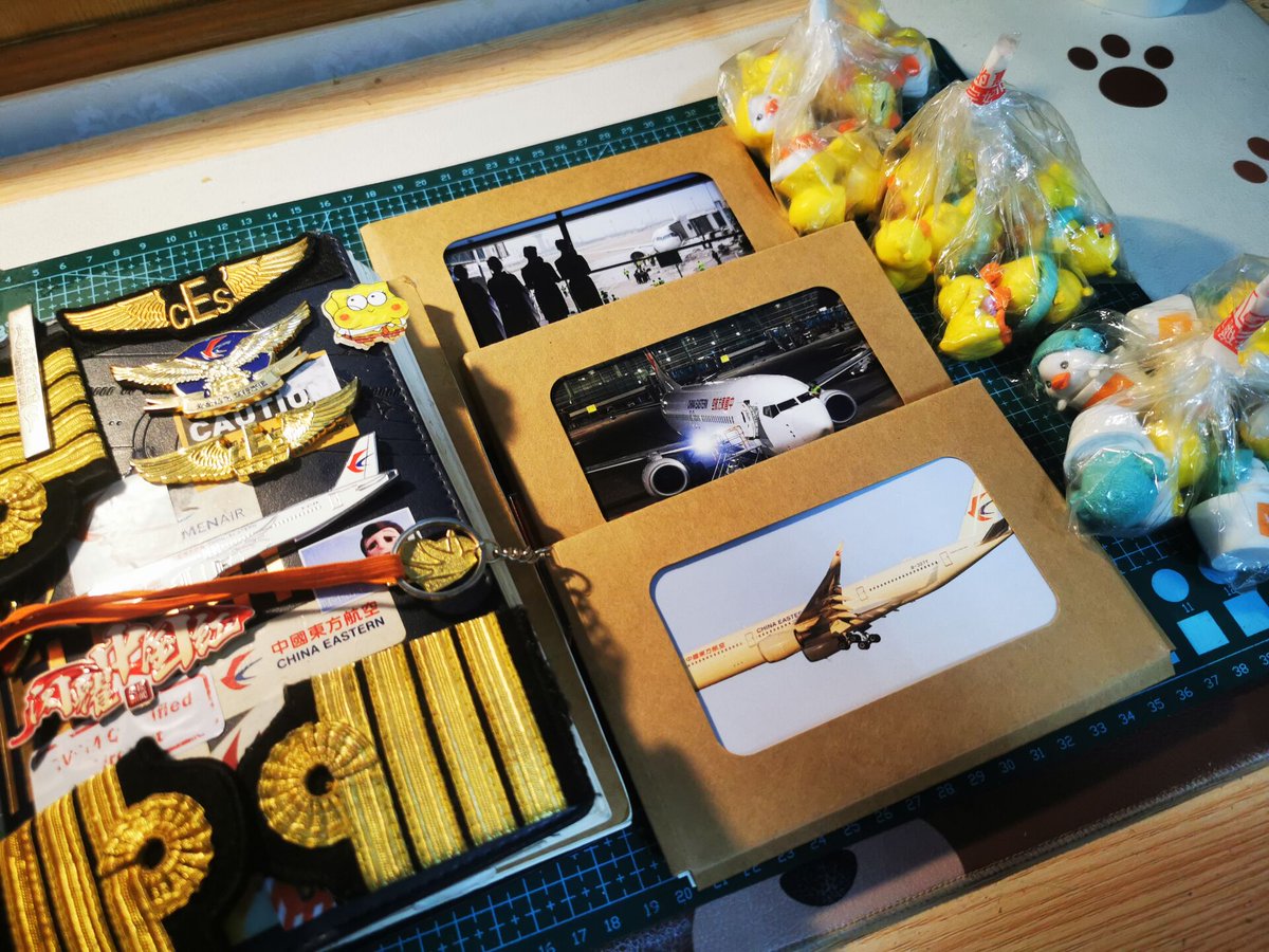 Flights bring us together, and pins keep our memories alive.🏅
#FlywithCEAir