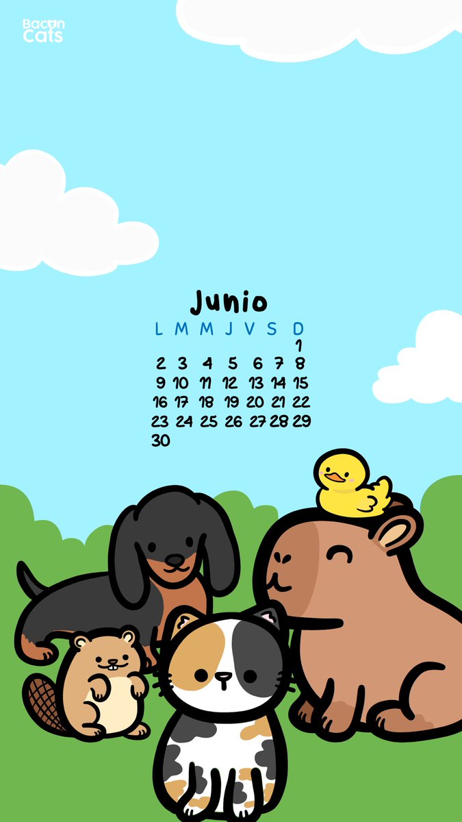 Baconcatsmx's tweet image. ¡Llegaron los michicalendarios de junio! 
Con sus 4 diseños diferentes:

🏳️‍🌈 Orgullosos por ser mes del pride 
😸 Felices y amarillos por el día de la felicidad 
🐤 Con un capibara y amigos por el día del medio ambiente 
🦋 Y con michi mariposas porque… en junio también cumple…