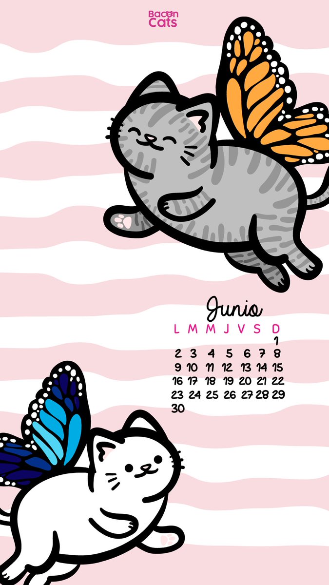 Baconcatsmx's tweet image. ¡Llegaron los michicalendarios de junio! 
Con sus 4 diseños diferentes:

🏳️‍🌈 Orgullosos por ser mes del pride 
😸 Felices y amarillos por el día de la felicidad 
🐤 Con un capibara y amigos por el día del medio ambiente 
🦋 Y con michi mariposas porque… en junio también cumple…