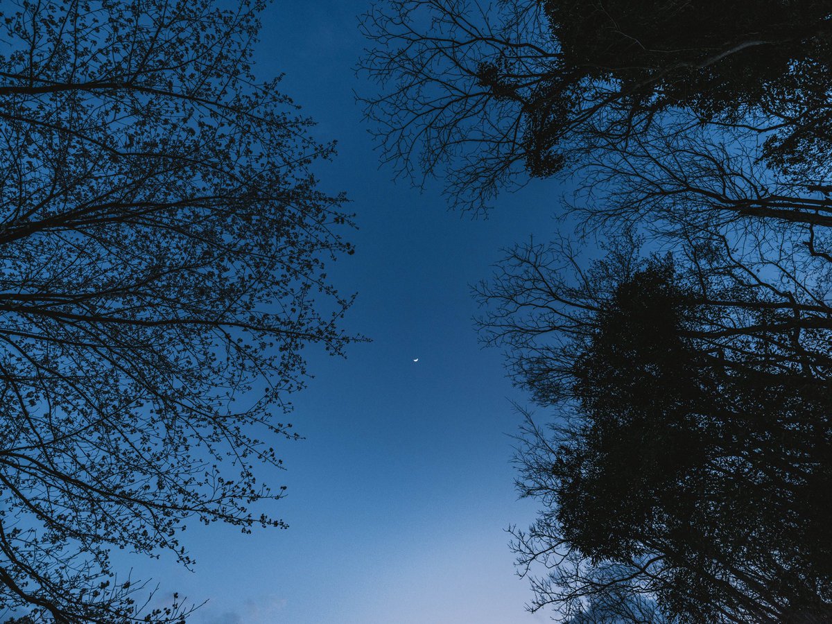 世界はこんなにも美しい