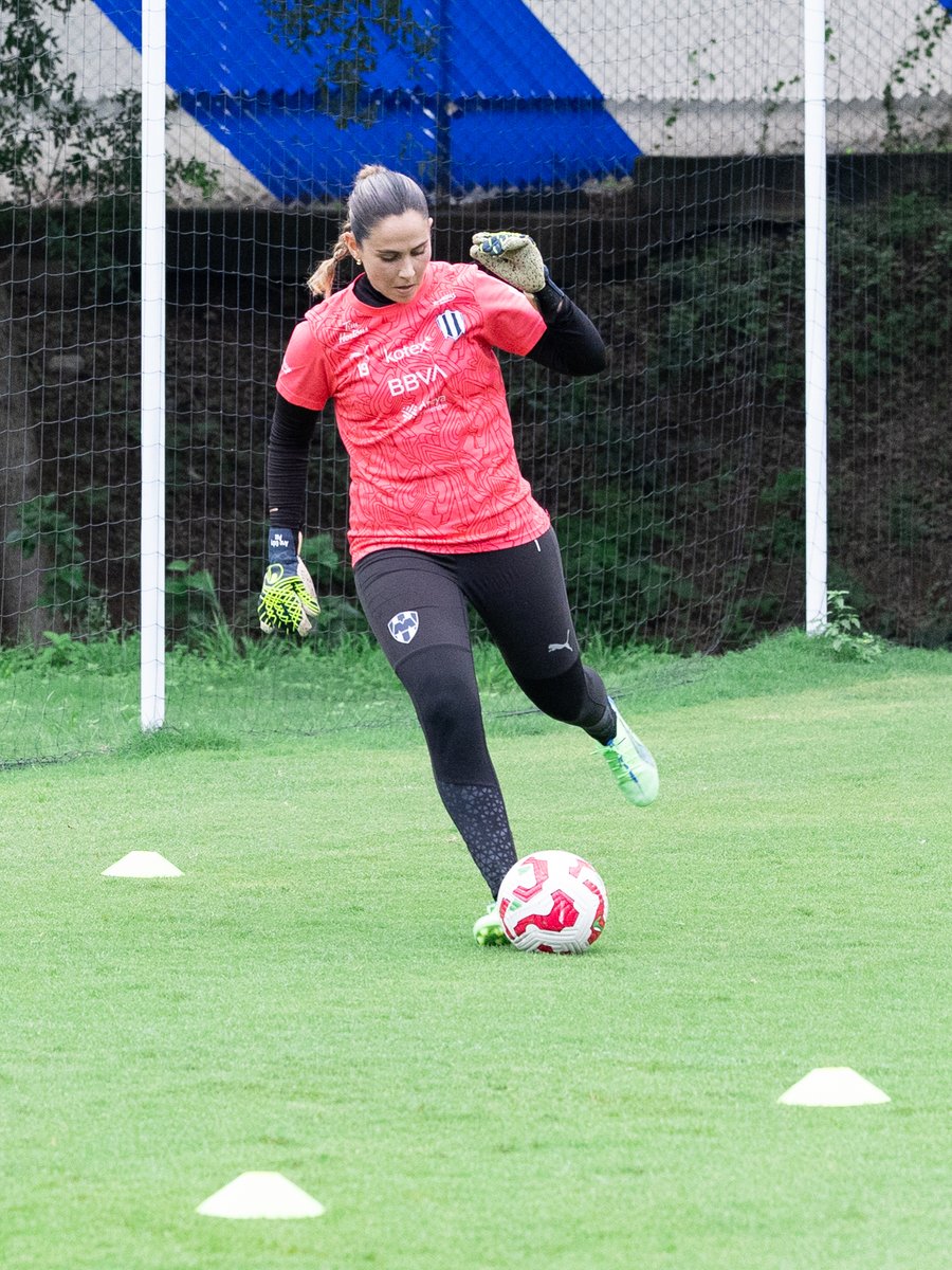 🧤🛡️