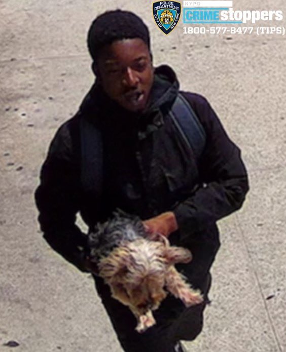 NYPD NEWS tweet media