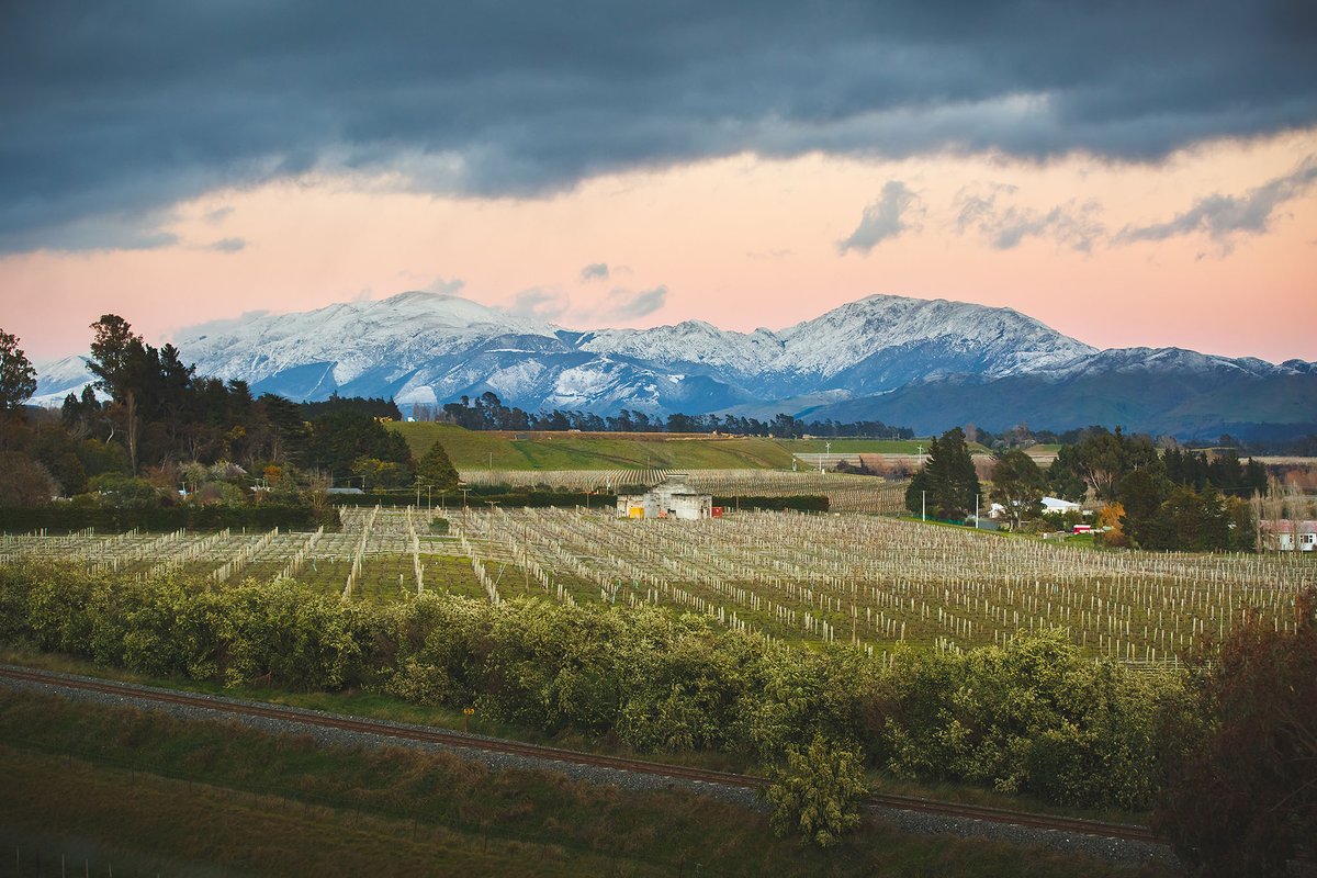 Winter in the Awatere Valley ❄️ 

It’s a quiet time in the vineyards for our Saint Clair team as all the vines are pruned and wrapped, getting ready for the next growing season.

#nzwine #saintclairwine