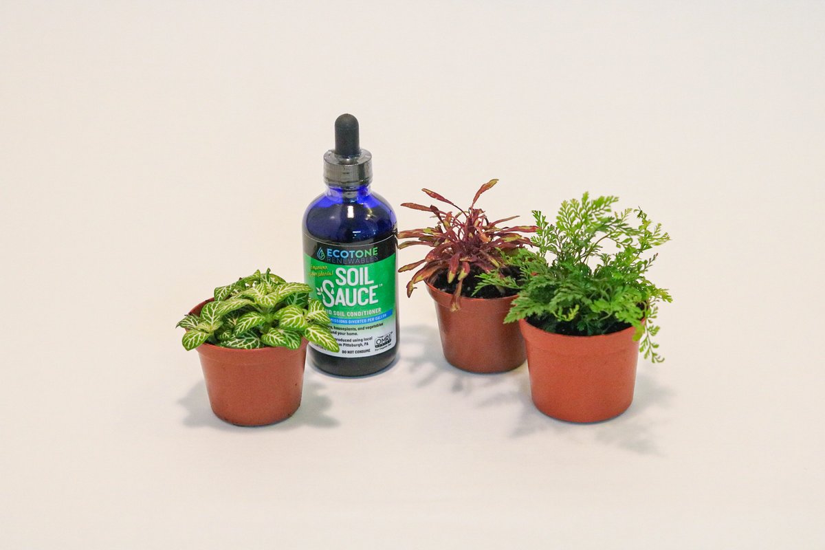 Soil Sauce can also be used to accelerate the composting process by adding it directly to compost materials.

Shop Soil Sauce here: ecotonerenewables.com/product-page/s…