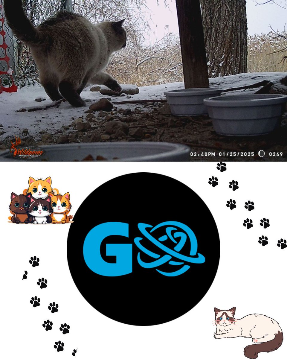 Read about what it takes to be a dedicated caretaker of cat colonies.
globeslcc.com/2025/06/03/com…

<a href="/GlobeSLCC/">The Globe</a> 
@smcslcc