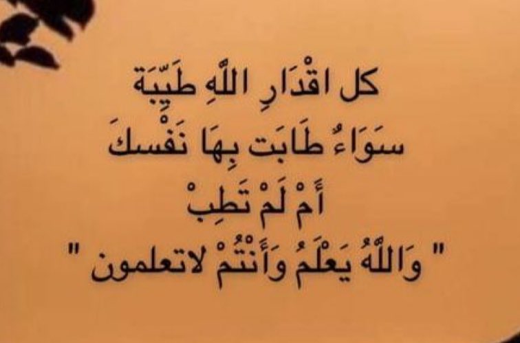 #صباح_الخيرᅠ