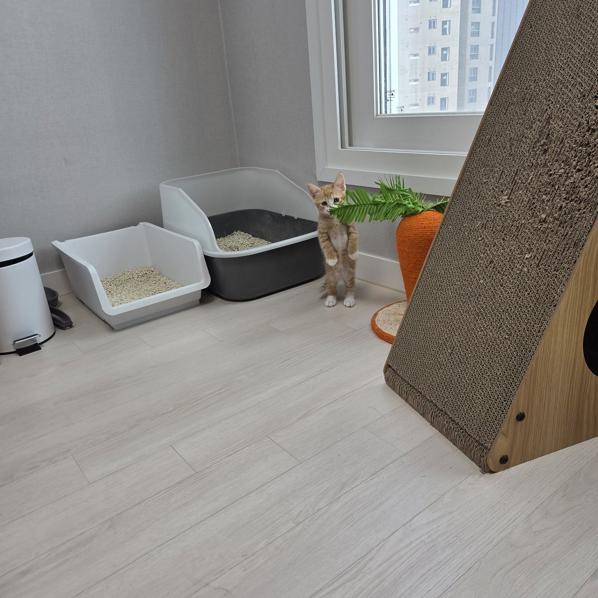 멀리서보면더웃깁니다
우뚝.