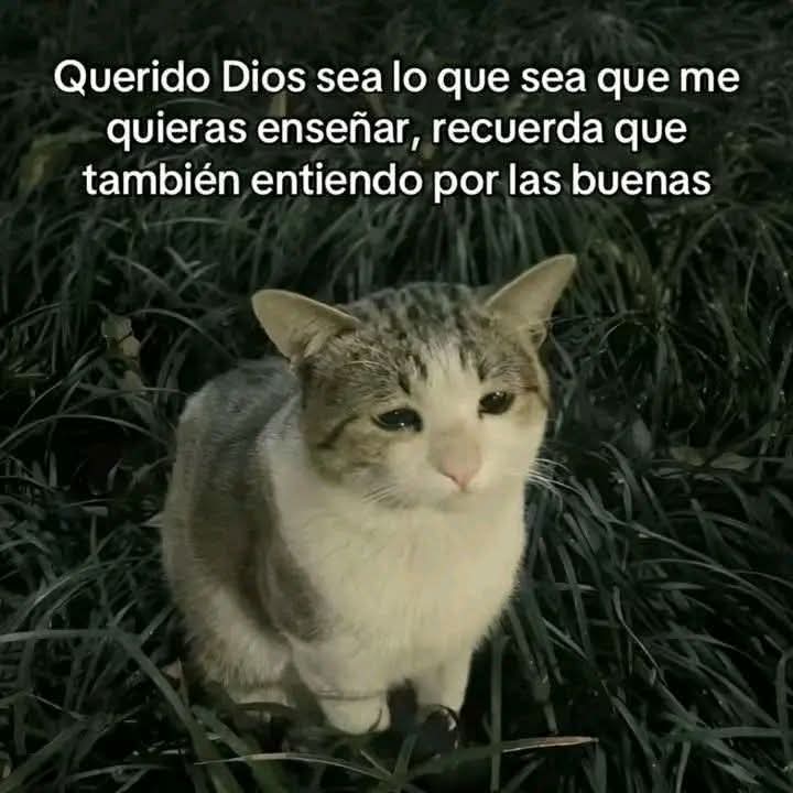 En_jupiter_'s tweet image. 