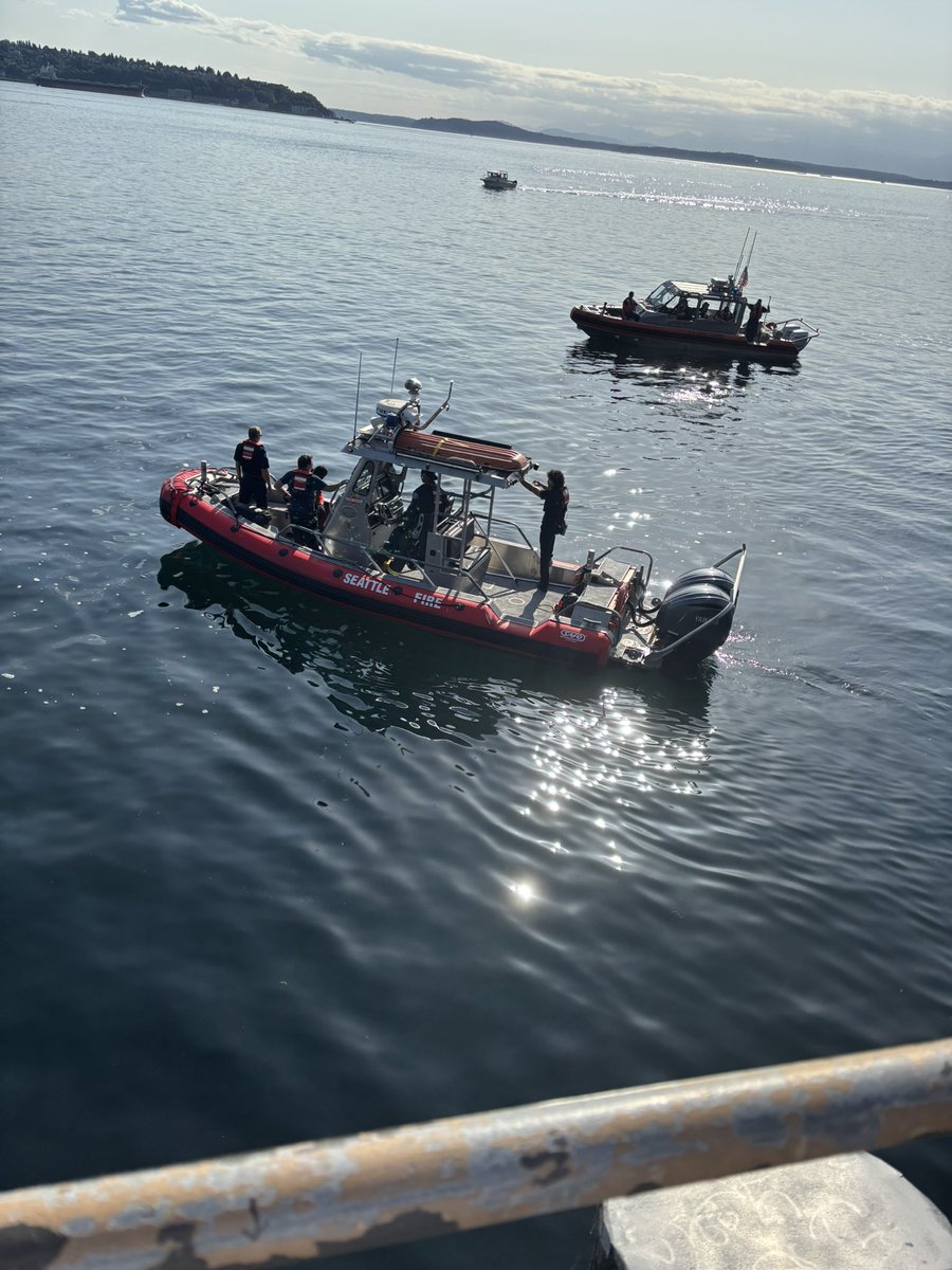 שׁמר tweet media