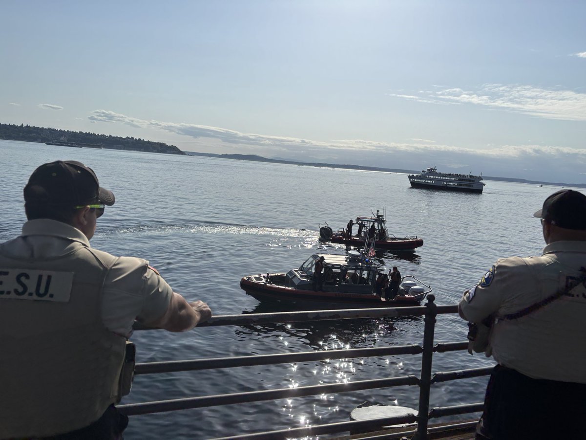 שׁמר tweet media