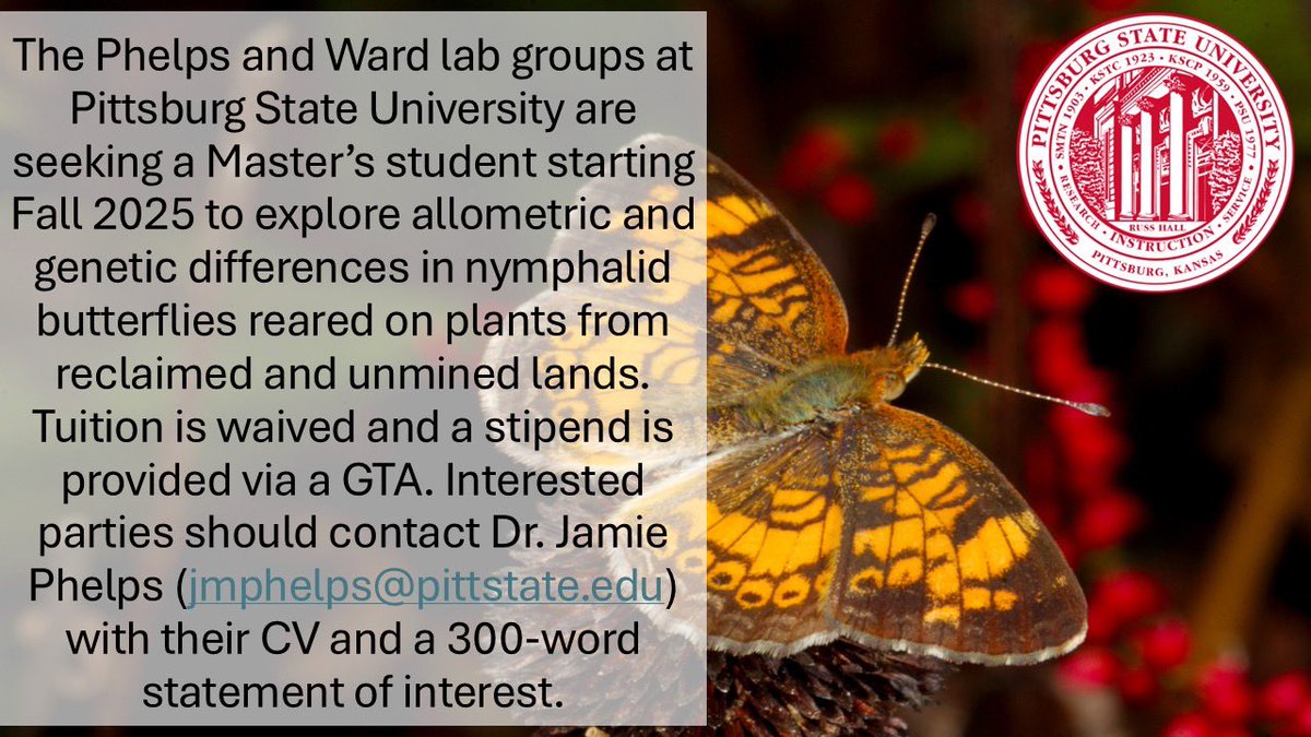 Interested in studying differences in butterfly populations in the reclaimed mine lands in southeast Kansas? Come join the Phelps and Ward Labs at Pittsburg State University as a master’s student this fall! Please share! #masters #biology #ecology #evolution #genomics #gradschool