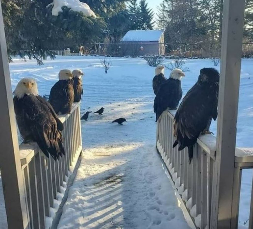 me and the five mutuals who always share my posts