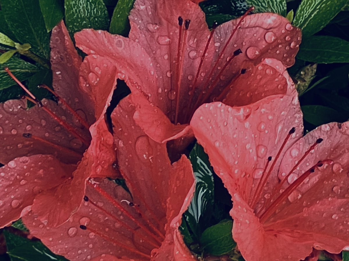 長野県まで買い出しと片付けに行った帰りのプチ観光旅行でした。
家に帰ってきたら置いてきぼりにされた猫が拗ねていて夢の中で古い友人になりすまして私に苦いお茶を飲ませようとしているのでした。
さて
起きたら作品作り始めないと八月の個展に間に合わないぜ！