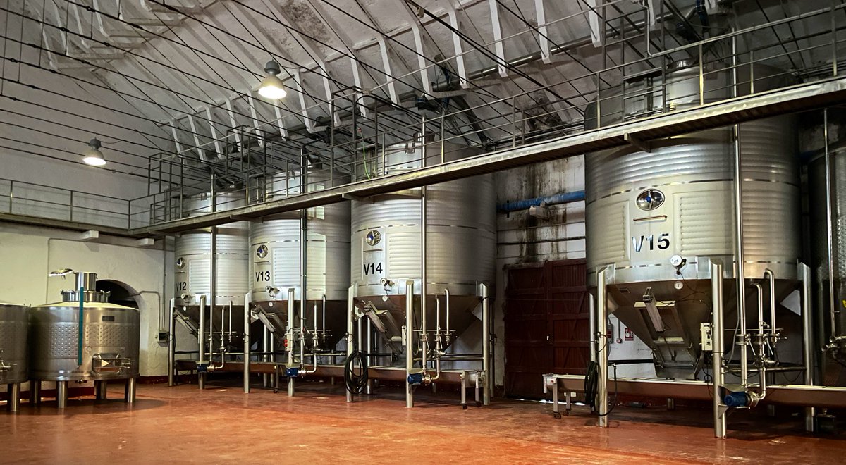 Visita a Bodegas del Rosario (1917), 
el mayor productor de la <a href="/DOP_Bullas/">BULLAS D.O.P</a> <a href="/RutaVinoBullas/">RutaVinoBullas 🍇</a>