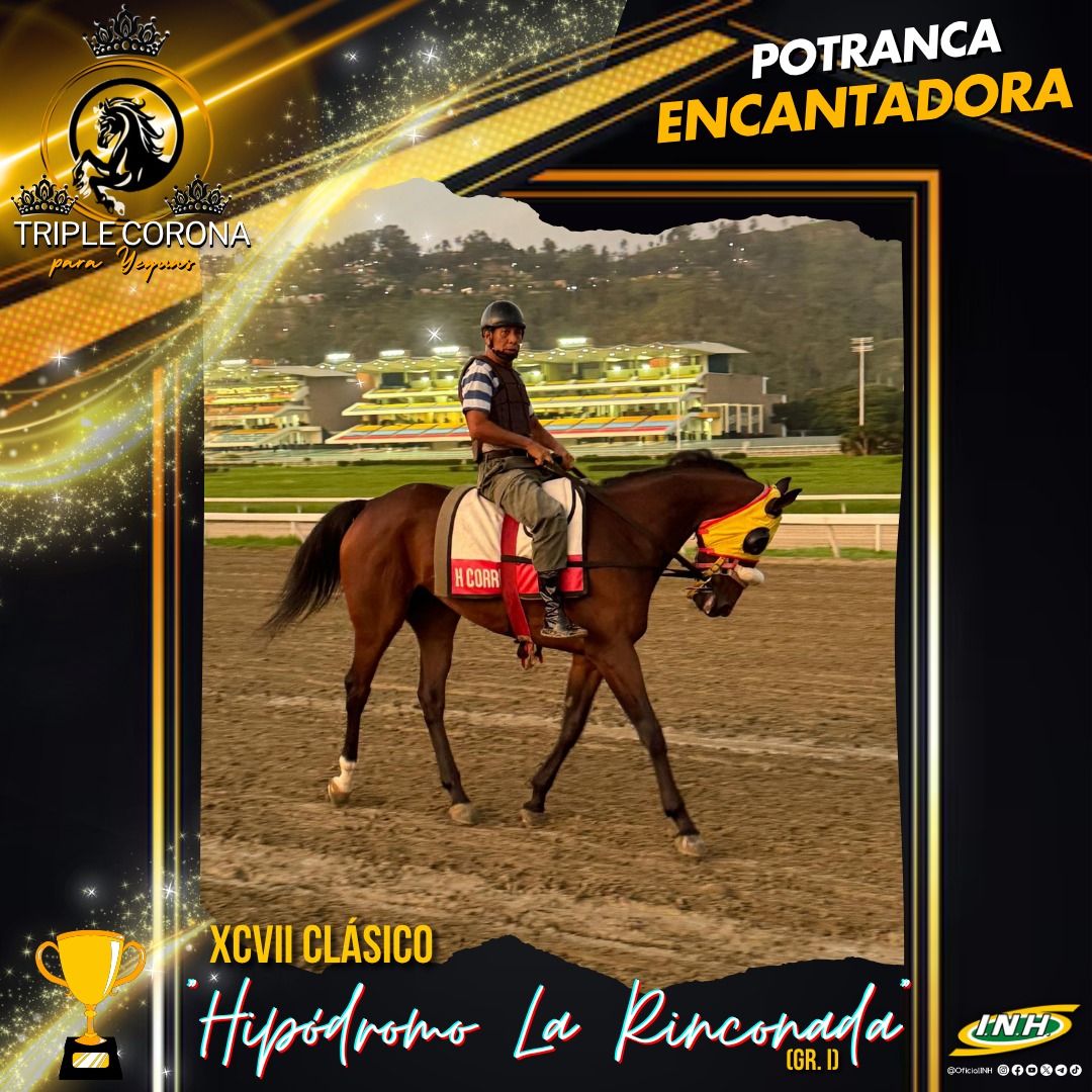 🐴La potranca "Encantadora" participará este domingo 8 de junio en el XCVII Clásico "Hipódromo La Rinconada" (Gr. I)🏆, primer peldaño de la Triple Corona para Yeguas.

🥇La entrenada por Humberto Correia será conducida por el jinete profesional, José  Gilberto Hernández.