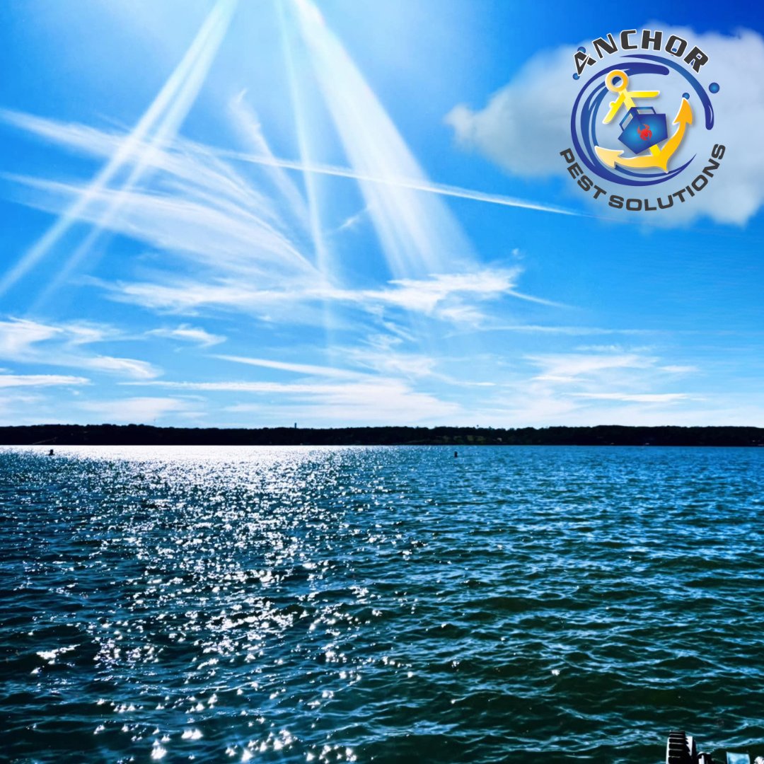 anchor_pest's tweet photo. Enjoy your time on the lake without having to worry about a dock full of pests when you get back.⛵🥰 That is, if you let us treat your dock, you'll be worry-free. If not, sounds like you better call us soon! 📞(888) 774-3370

#EcoFriendlyPestSolutions #DockPestControl https://t.co/tQjbyx3yQQ
