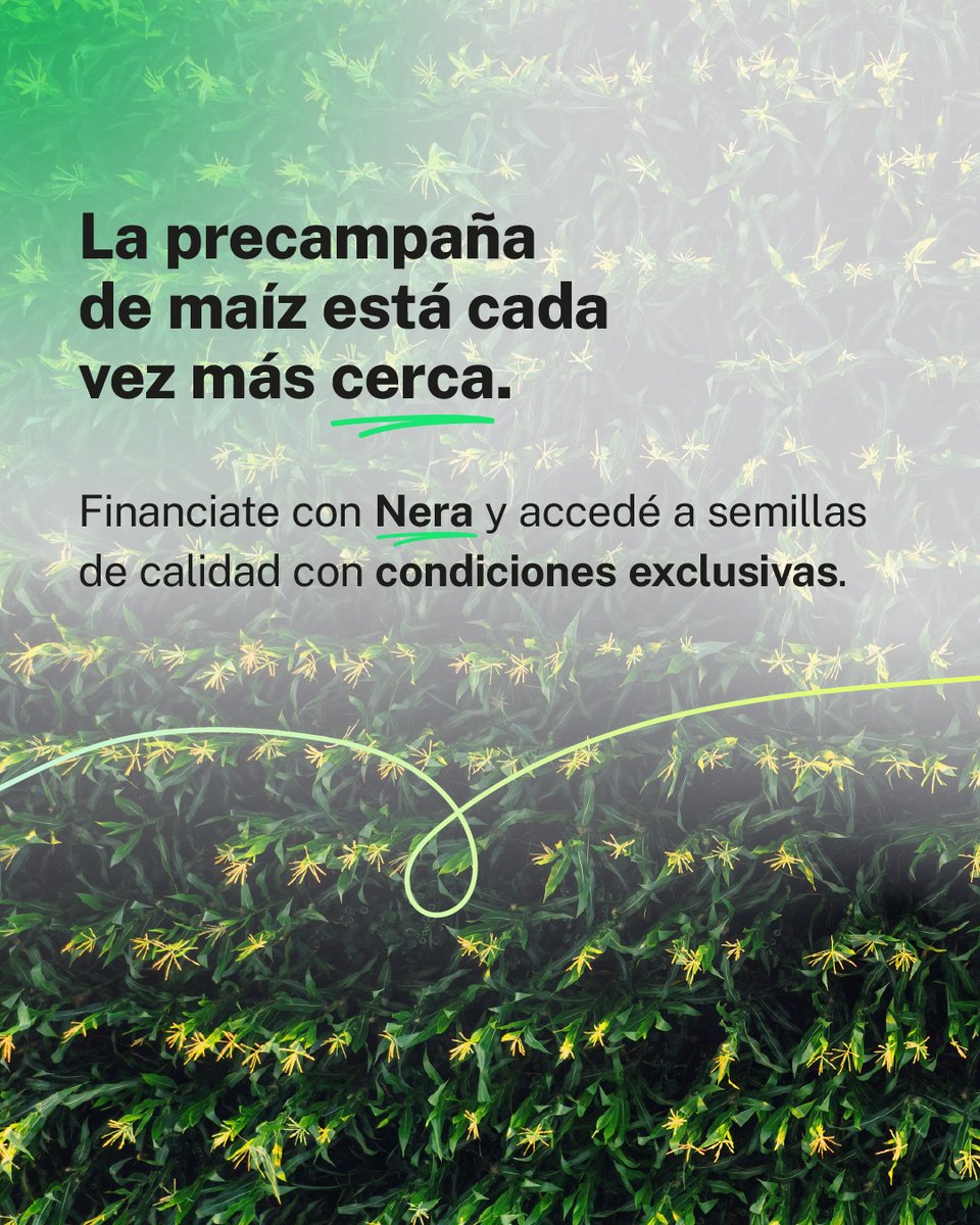 🌽 Planificá tu siembra y maximizá el rendimiento de tu campaña de maíz.
En Nera conectamos decisiones con oportunidades.

✅ Todo de forma digital, ágil y diseñada para que tomes decisiones que impulsen tu crecimiento.

Descubrí las alternativas de financiación disponibles.