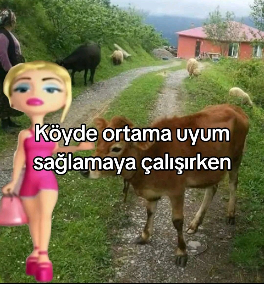 Fatma 💅🏻 (@uzakudurunasko) on Twitter photo 