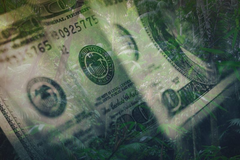 MPF pede à Justiça Federal a anulação do contrato bilionário de créditos de carbono do governo do Pará

Ação também pede que estado seja obrigado a pagar indenização de R$ 200 milhões por danos morais à sociedade

📌 Detalhes no site do MPF: mpf.mp.br/pa/sala-de-imp…