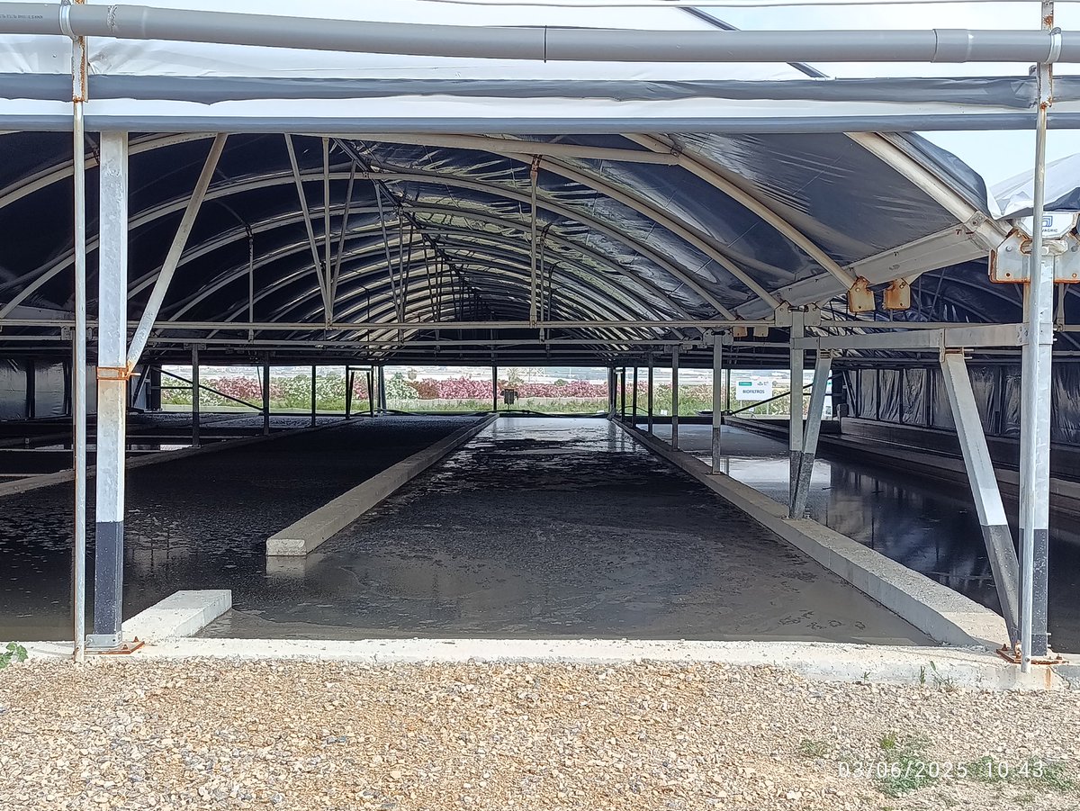 📝 Realizamos visita de seguimiento de los avances del GO de Insectpur en el desarrollo de su proyecto de "Valorización de purín de cerdo usando insectos" en las instalaciones de Cefusa visitando el contenedor prototipo.🐖🐖
<a href="/RM_Agua/">Consejería de Agua, Agricultura, Ganadería y Pesca</a> <a href="/redPAC_/">Red PAC</a> <a href="/EIPAGRI_SP/">EIP-AGRI Support Facility</a>