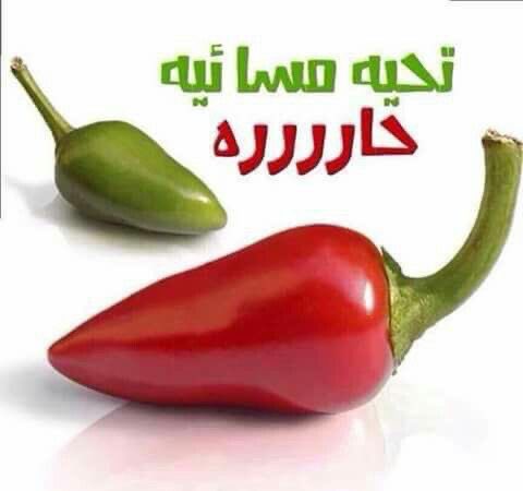 اللهُ أكبرُ ، تُحيي الرُّوحَ أحرُفُها 
اللهُ أكَبرُ ، تروِي القَلب تَوحِيدًا.!

كَبّروا ليبلُغ تكْبِيركُم عنانَ السماء كَبّروا فإنّ اللهَ عظيمٌ يستَحِق الثنَاء😍🤲
