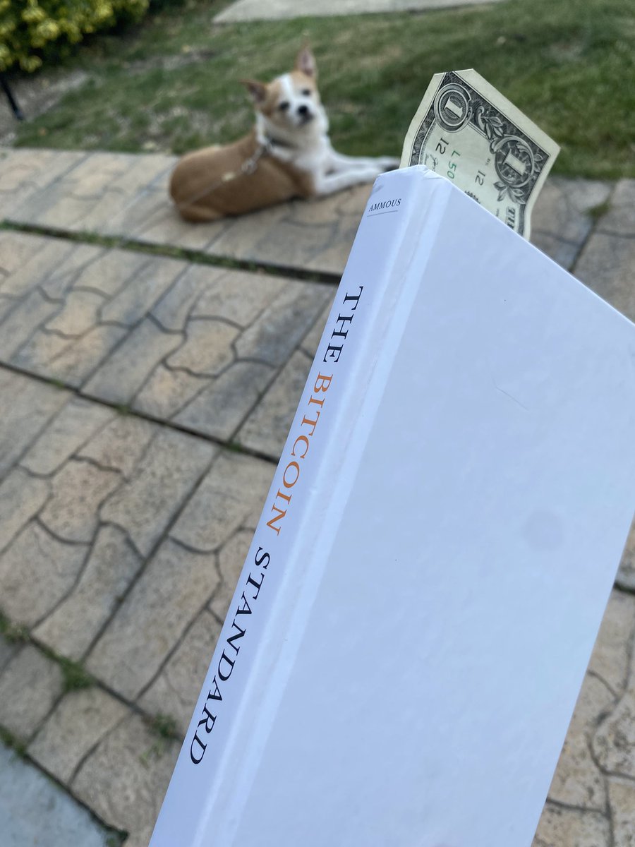 We use $USD as bookmarks until they get backed by something of real value #Bitcoin $BTC