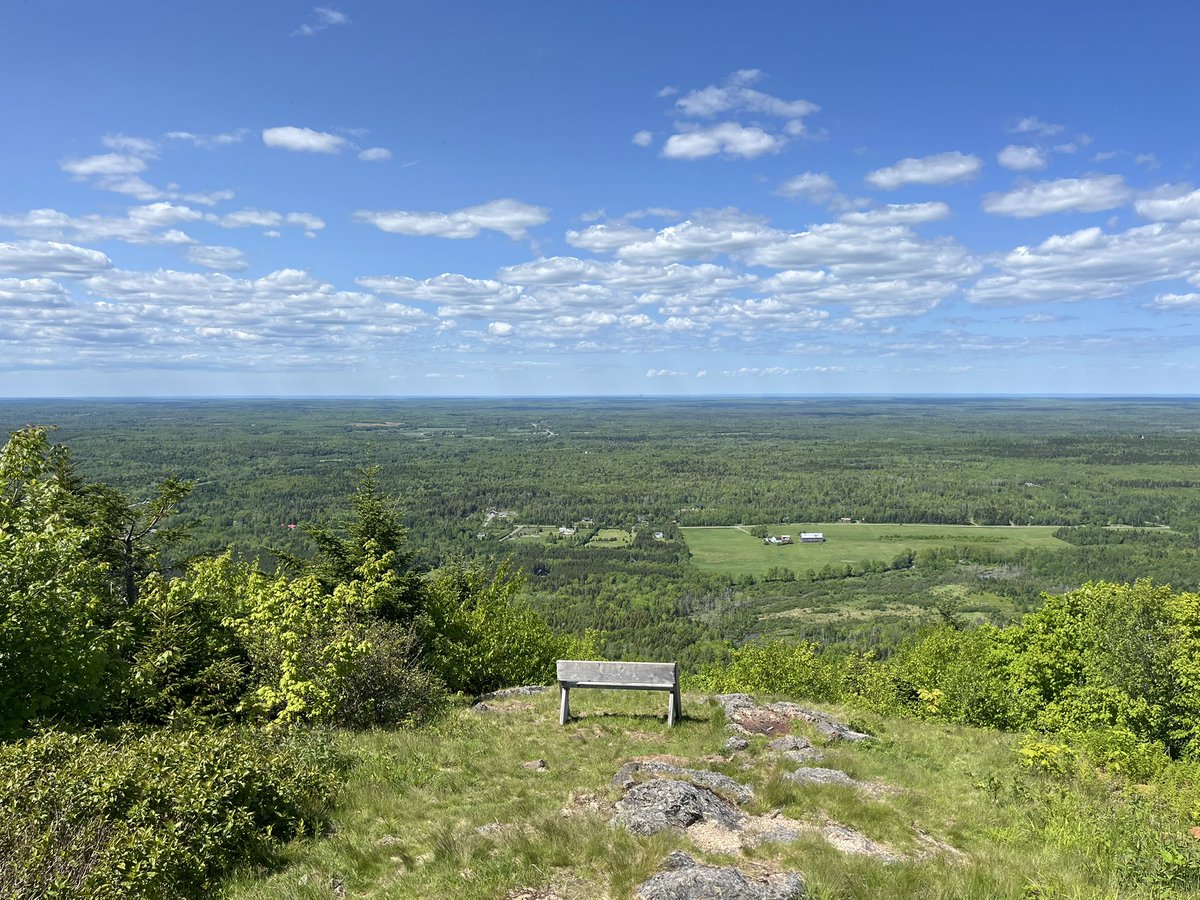 Back home for the Summer~